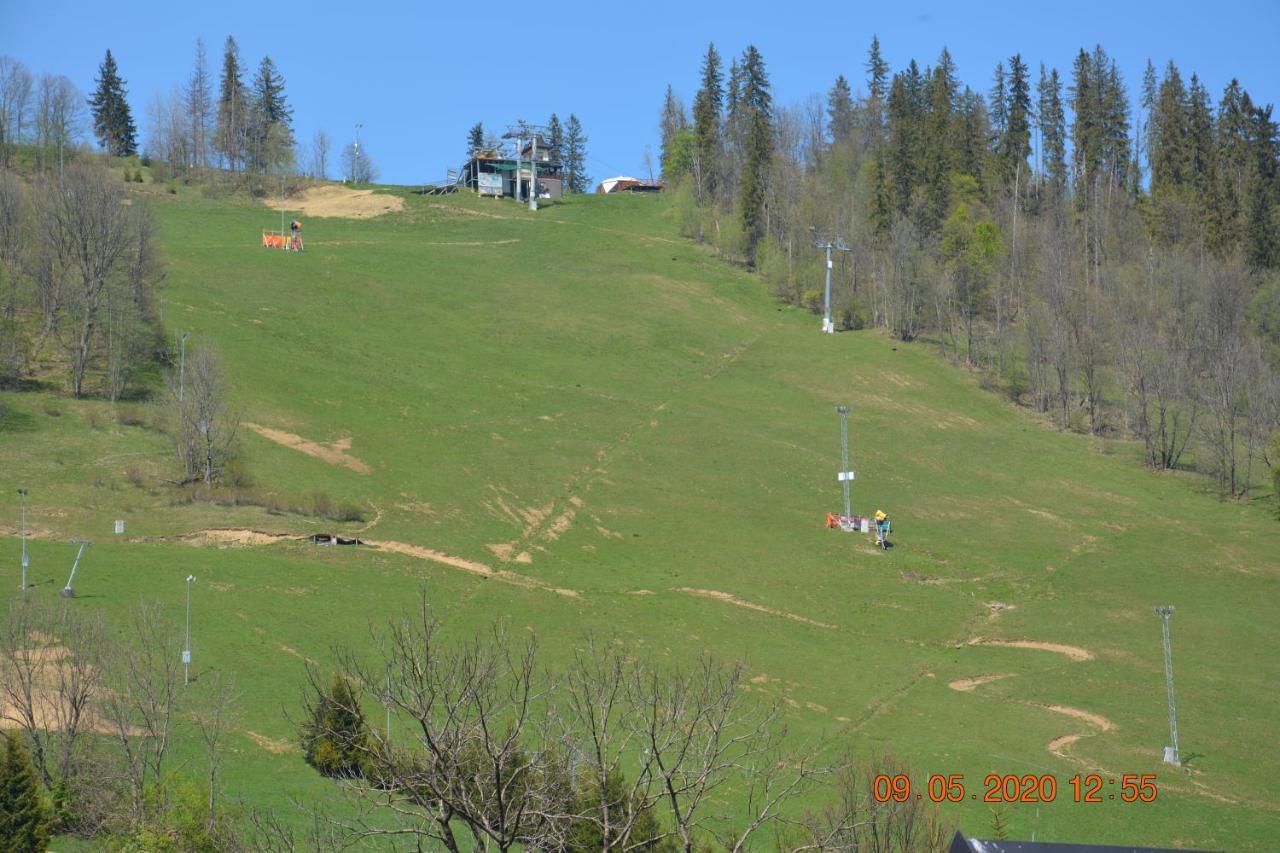 Willa Wiktoria 2 Zakopane Buitenkant foto