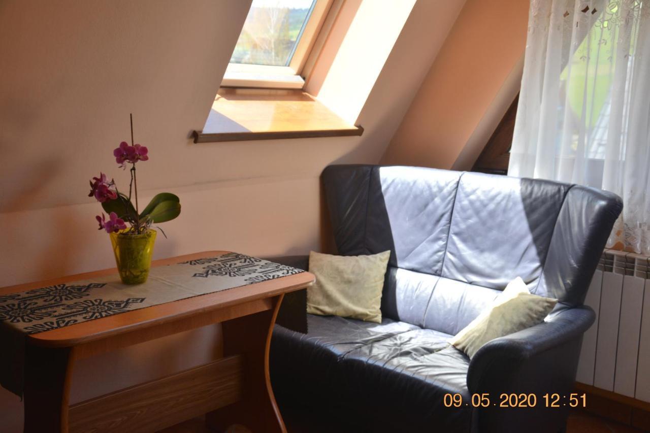 Willa Wiktoria 2 Zakopane Buitenkant foto